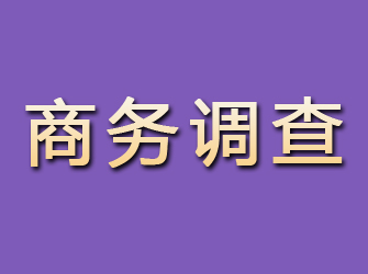 汕尾商务调查