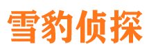 汕尾市调查公司